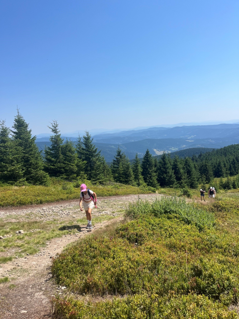 204.jpg