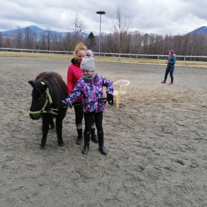 Učíme se vodit koně