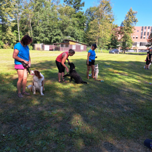 25_PT_01_036.jpg