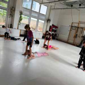 PVM | Brazilské jiu-jitsu pro děti